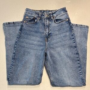 Divided by H&M Women's Blue High Rise Straight Denim Jeans